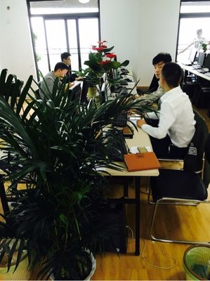 武汉金诚汇誉商务信息咨询 专业赋能企业决策与成长