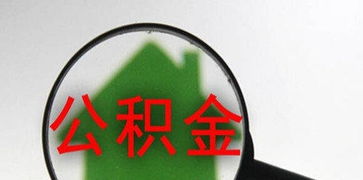 便捷高效 公积金咨询服务解析